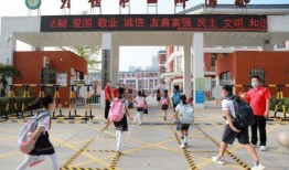 开封小学生最新爆料,校园生活新鲜事大揭秘