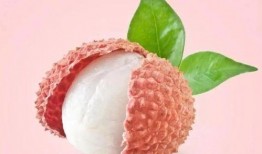 西梅果冻爆料怎么做视频,视频生成技巧全解析