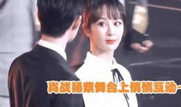 圈内小料爆料肖战杨紫是真的吗,圈内小料爆料真实性揭秘