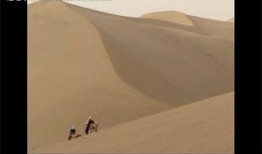 最新沙漠爆料视频下载安装,最新爆料视频深度解析