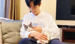 真理医生爆料视频,真理医生爆料视频深度解析