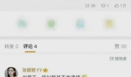 最新爆料彭小冉视频播放,揭秘背后惊人真相！