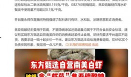 王海爆料东方甄选的新闻,直播带货乱象引发行业关注