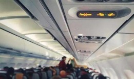 飞机最新爆料视频网