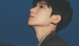 任嘉伦最新爆料王源,揭秘王源背后的故事与成长历程