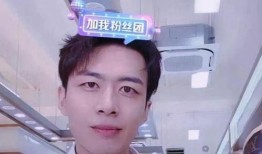 金武前妻爆料视频,揭秘婚姻内幕与情感纠葛