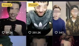 爆料男网红诈骗案例视频,男网红如何利用粉丝信任实施诈骗